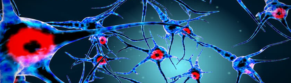 Neural Systems Analysis Laboratory